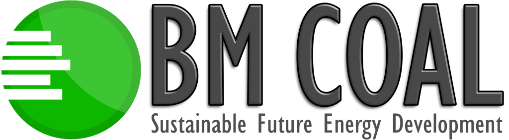  BM Coal Holdings